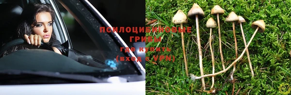 спайс Алзамай